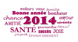 Copie-de-bonne-annee-2014-blog